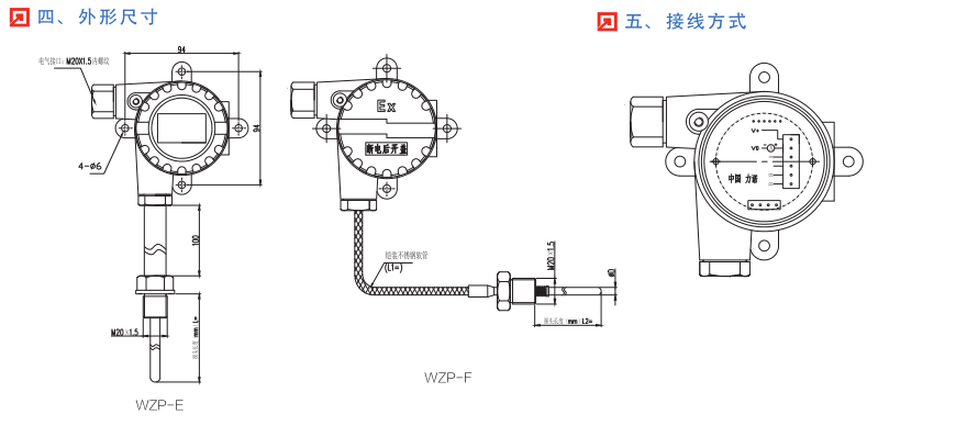 WZP-E防爆温度变送器(图2)